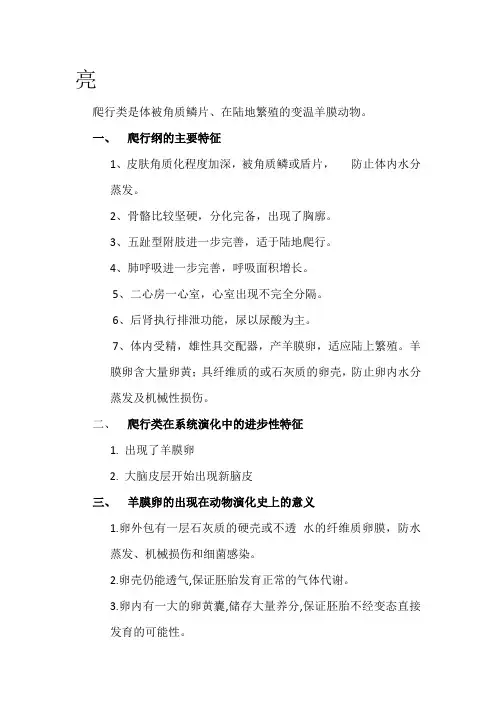 爬行纲
