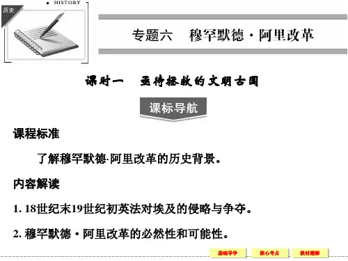 《亟待拯救的文明古国》课件 04