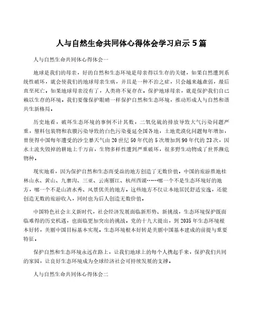 人与自然生命共同体心得体会学习启示5篇