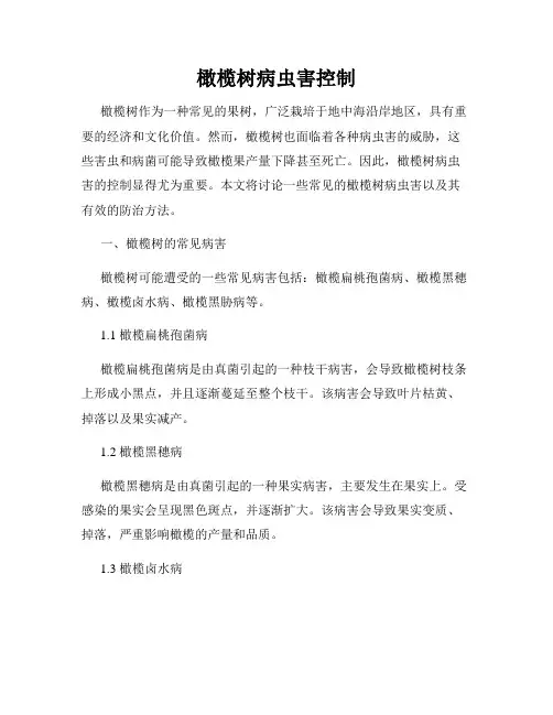 橄榄树病虫害控制