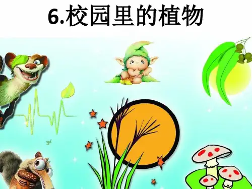 教科版一年级上册科学《校园里的植物》精品课件