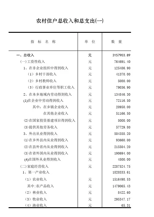 农村住户总收入和总支出(精)