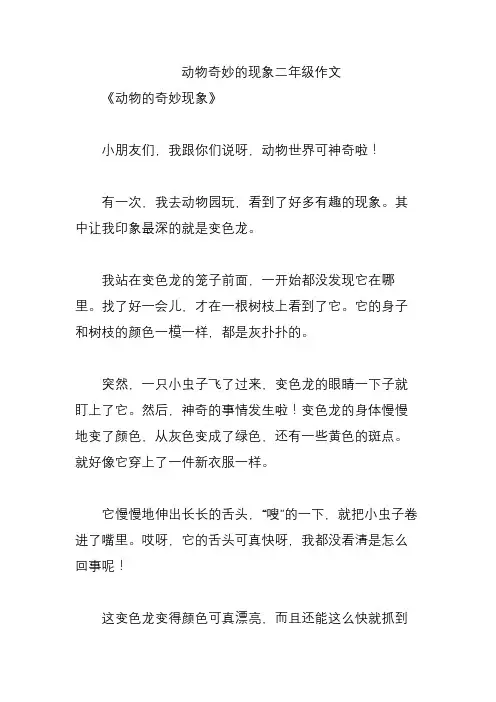 动物奇妙的现象二年级作文