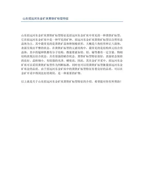 山东招远河东金矿床黄铁矿标型特征