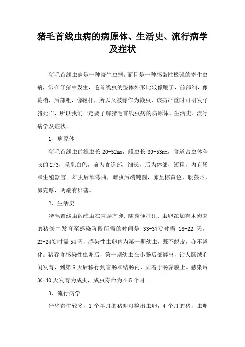 猪毛首线虫病病原体生活史流行病学及症状