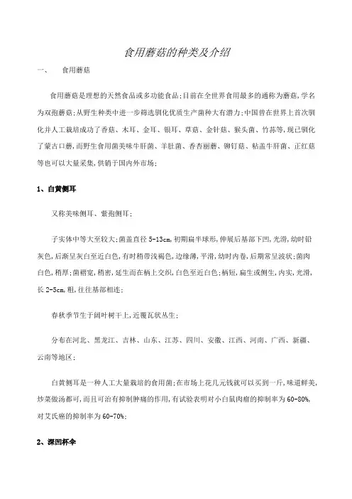 食用蘑菇的种类介绍