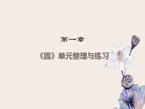 六年级数学圆的整理和复习