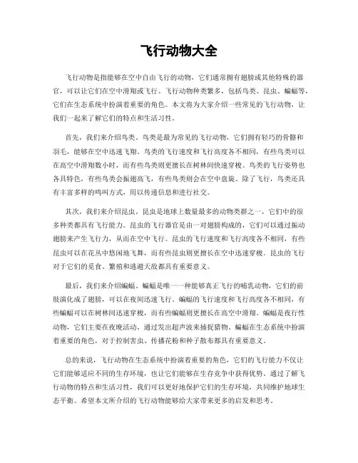 飞行动物大全
