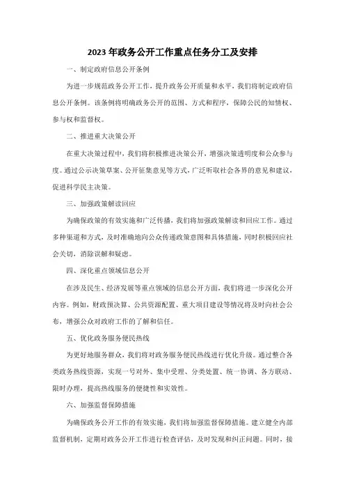 2023年政务公开工作重点任务分工及安排