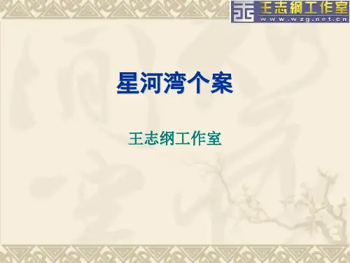 房地产策划案例星河湾个案