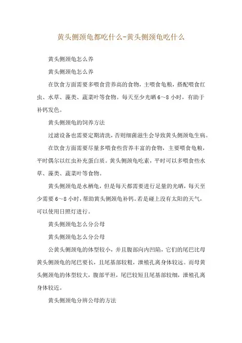 黄头侧颈龟都吃什么-黄头侧颈龟吃什么