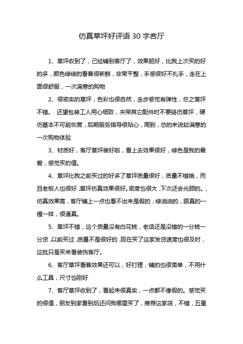 仿真草坪好评语30字客厅
