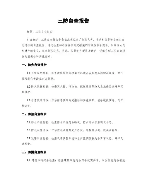 三防自查报告
