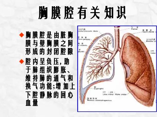 胸腔闭式引流术介绍