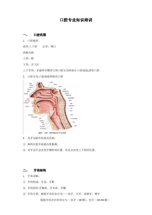 口腔常识培训