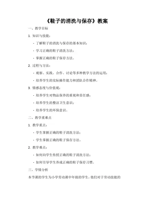 《鞋子的消洗与保存》教案