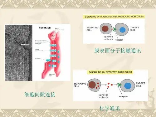 最新病理生理学11-细胞信号转导与疾病-PPT文档