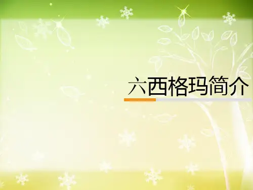 六西格玛简介