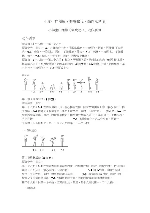 小学生广播操(雏鹰起飞)动作示意图
