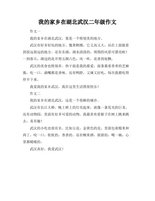 我的家乡在湖北武汉二年级作文