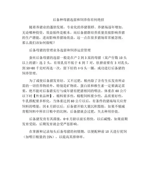 后备种母猪选留和饲养你有何绝招