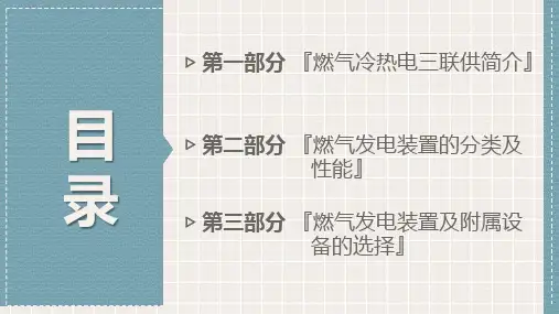 燃气冷热电三联供系统发电装置ppt课件