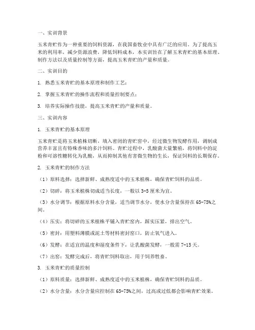 实训报告玉米青贮