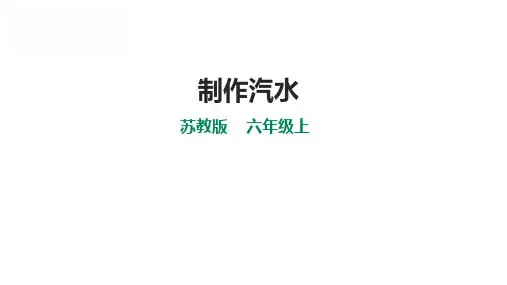 苏教版小学六年级上册科学 第一单元 物质的变化 1 3《制作汽水》课件(30张PPT)