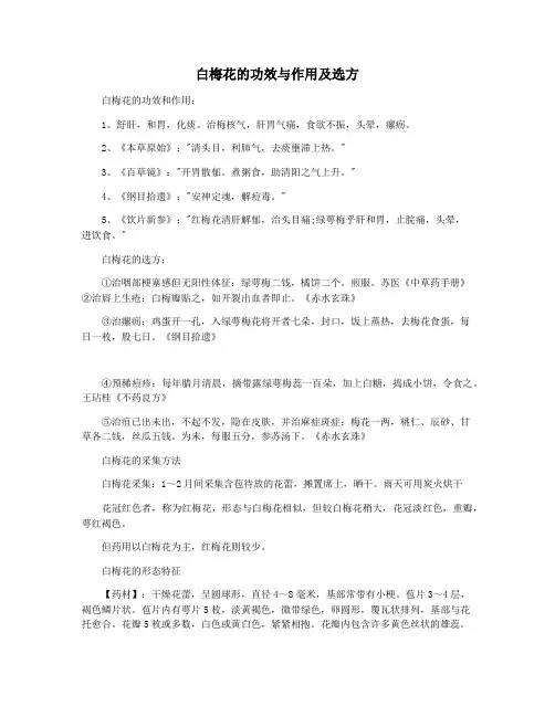 白梅花的功效与作用及选方