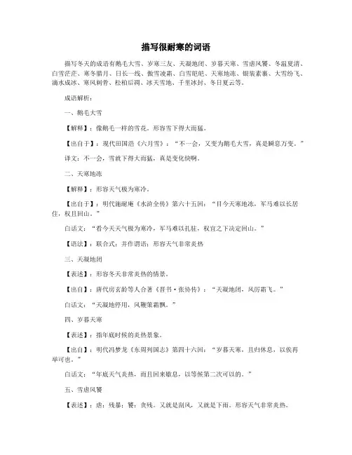 描写很耐寒的词语
