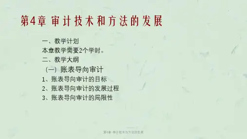 第4章-审计技术与方法的发展课件