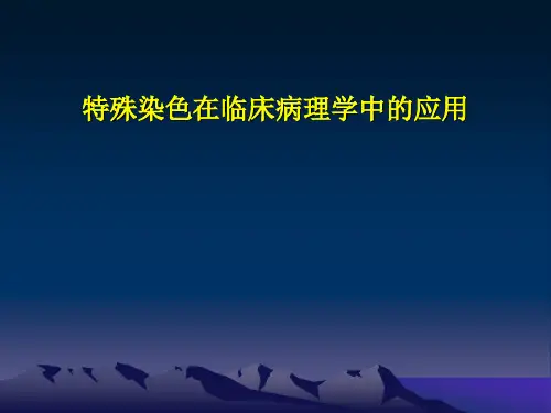 特染PPT