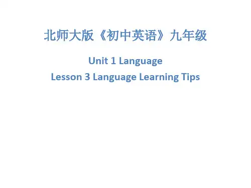 北师大版九年级全一册英语课件《Unit1 1Lesson3  Language Learning Tips》 (共18张PPT)