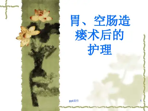 胃、空肠造瘘术后的护理  ppt课件