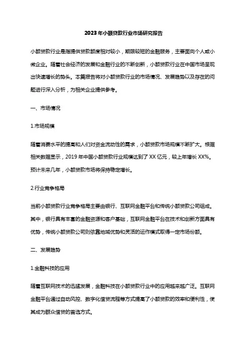 2023年小额贷款行业市场研究报告