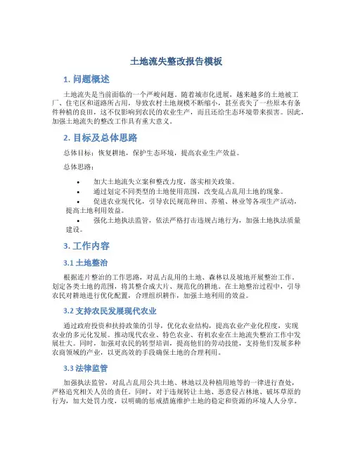 土地流失整改报告模板