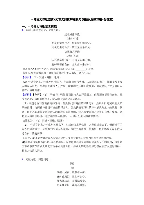 中考语文诗歌鉴赏+文言文阅读解题技巧(超强)及练习题(含答案)