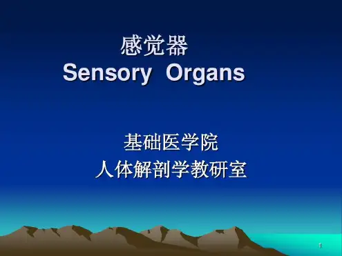 培训学习资料-感觉器-2022年学习资料