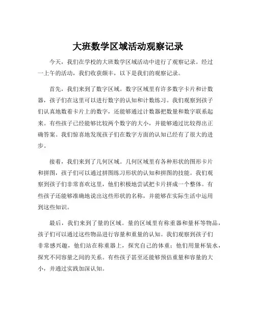 大班数学区域活动观察记录