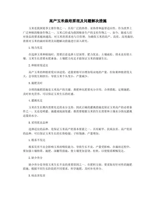 高产玉米栽培原理及问题解决措施