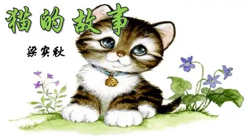 猫的故事PPT课件18 北师大版 (共23张PPT)