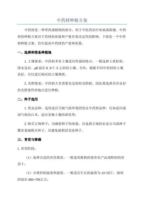 中药材种植方案