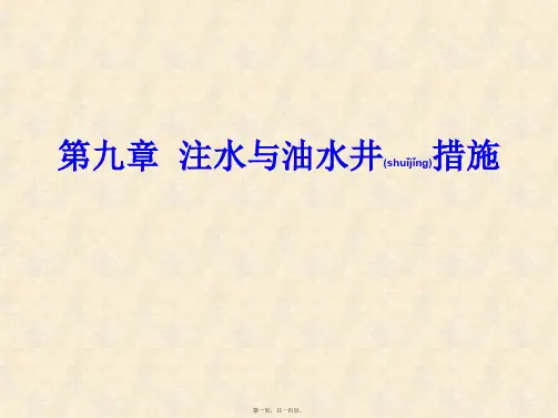 注水井与油水井措施(共100张PPT)