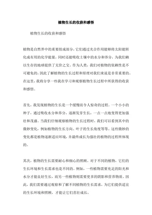 植物生长的收获和感悟
