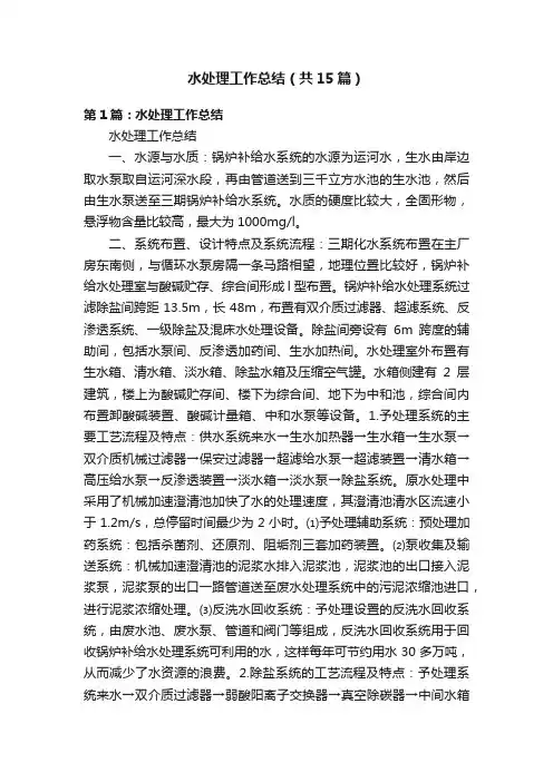 水处理工作总结（共15篇）