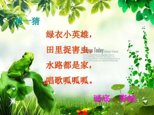 部编教材《青蛙写诗》优秀PPT1