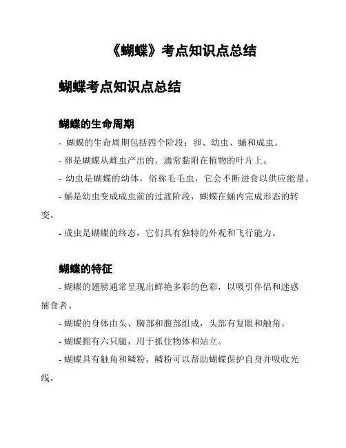《蝴蝶》考点知识点总结