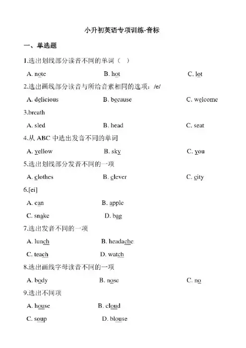 六年级下册英语试题-小升初英语专项训练音标通用版（含答案解析）