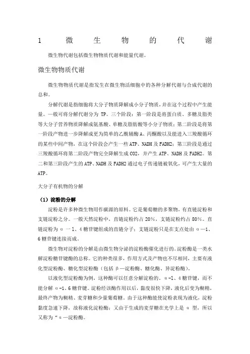 微生物的代谢及其调控