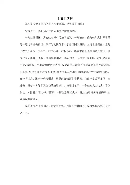 上海世博游_小学作文_3